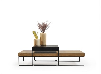 Элегантный стильный кофейный столик для гостиной из дерева в минималистичном дизайне