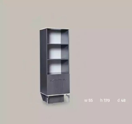 Regal Schrank Bücherregal Schränke Mehrzweck Möbel Braun 170x55x48