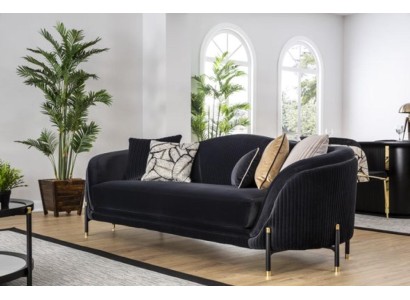 Двухместный роскошный диван в темной расцветке для гостиной комнаты