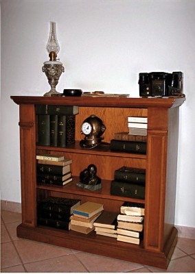 Bücherregal Vitrine Vitrinenschrank Klassische Schrank Bücherschrank Holz Neu