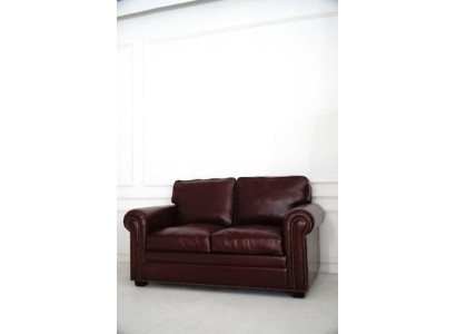 Двухместный мягкий диван в роскошном дизайнерском стиле 