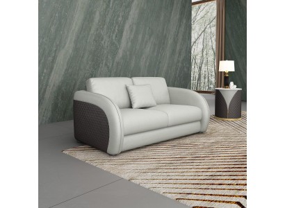 Кожаный 2-х местный диван современного дивана из натуральной кожи для гостиной